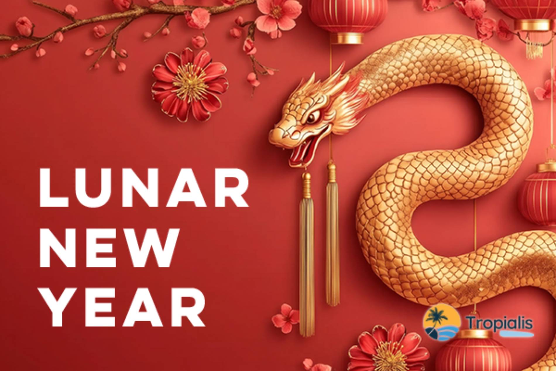 Lunar New Year: A Celebration of Enduring Friendship