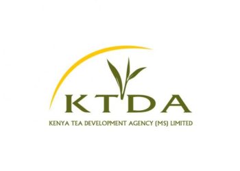 KTDA CEO Hiring Halted: Court Order