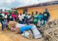 Jeety Rubber: Liberian Name ‘Kolleh’ Bestowed by RPAL, RDFI