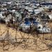 Moroccans in Gaza: Urgent Evacuation Pleas Intensify