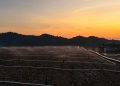 Gold Surge Fuels Merdeka’s HK IPO Ambitions
