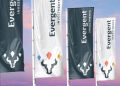 Evergent Investments Hits Record Profit: 378 Million Lei Net Result