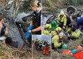 Farmer Finds Man Trapped in Creek for Three Days