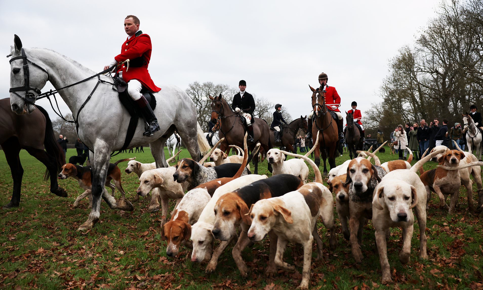 Trail Hunting Ban Sparks Rural Fury: “Unjustified” Law Stirs Outrage