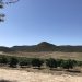 Eastern Cape Agriculture: R600M Boost for Productivity