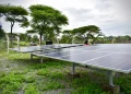 DR Congo Mini-Grids: Powering Demand, Not Just Supply