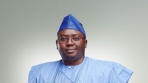 Nigeria-Achieves-Milestone-in-Power-Supply-Adelabu.jpg