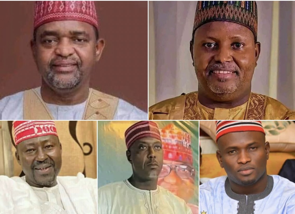 Kano Governor Sacks Commissioner Sagagi