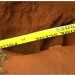 Nyamira Doctor Found Dead in Shallow Grave