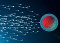 Frequent Ejaculation: A Boost for Sperm Quality