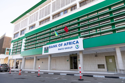 Boa Niger Halts Dividends Amid 2025 Profit Collapse