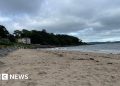Teens Held in Alleged Assault of 14-Year-Old