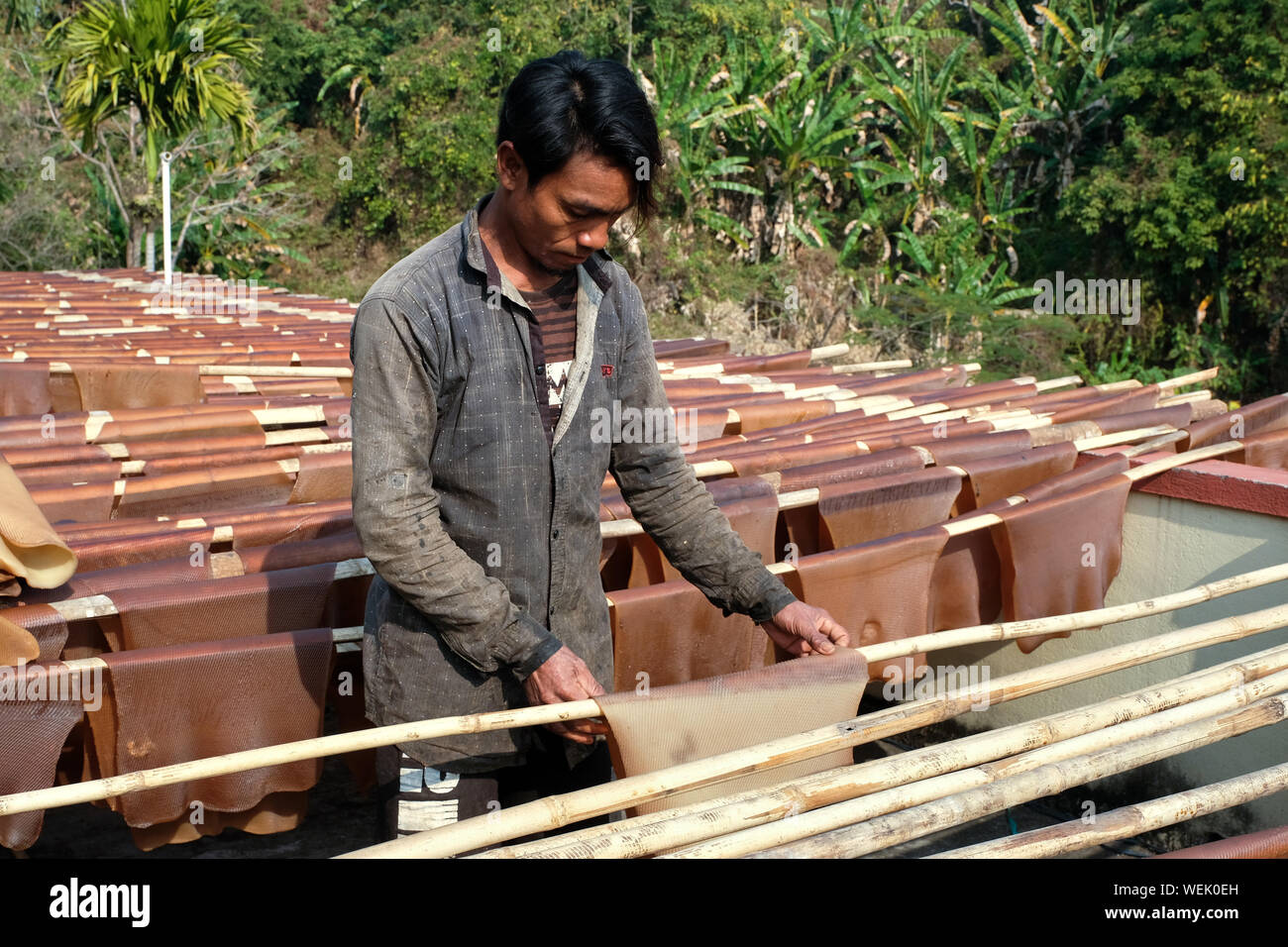 Jeety’s Farmer Pledge Earns Rubber Industry Acclaim
