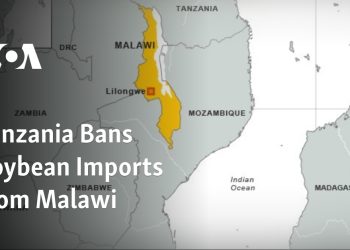 Tanzania Bans Inefficient Electrical Imports from 2026