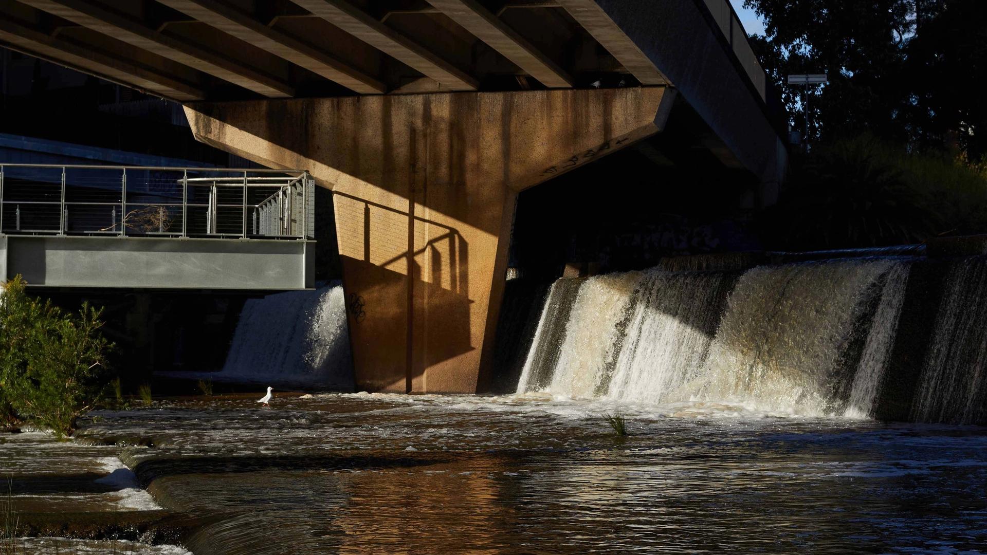 Rivers 2027: Public vs. Powerhouse Choice