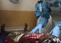 Lassa Fever: 146 Dead, Bauchi and Taraba Lead Mortality Stats