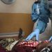 Lassa Fever: 146 Dead, Bauchi and Taraba Lead Mortality Stats