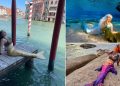 Real-Life Mermaids: £6,000 Tails and Cold Water Adventures