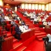 Nigerian Aviation: A Rising Horizon