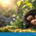 Easter: A Time of Hope and Renewal