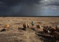 Why Rich Kenyans Are Snapping Up Remote Land Tracts