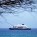 British Columbia reports Canada’s first Andes hantavirus case tied to cruise ship