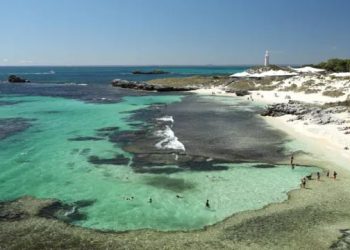 Man Killed in Shark Attack