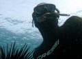 NSW Government Backs Aboriginal Sea Urchin Venture with $1.48m Grant