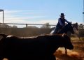 Topar Campdraft Clinic riders seize the reins and fall in love with the sport