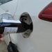 Could wine be Australia’s next biofuel?