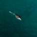 Bizarre ocean mystery: Bubbles surround unknown creature off Australia’s shore