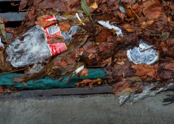Queensland’s Plastic Ban Lag: Is Progress Stalled?