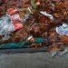 Queensland’s Plastic Ban Lag: Is Progress Stalled?