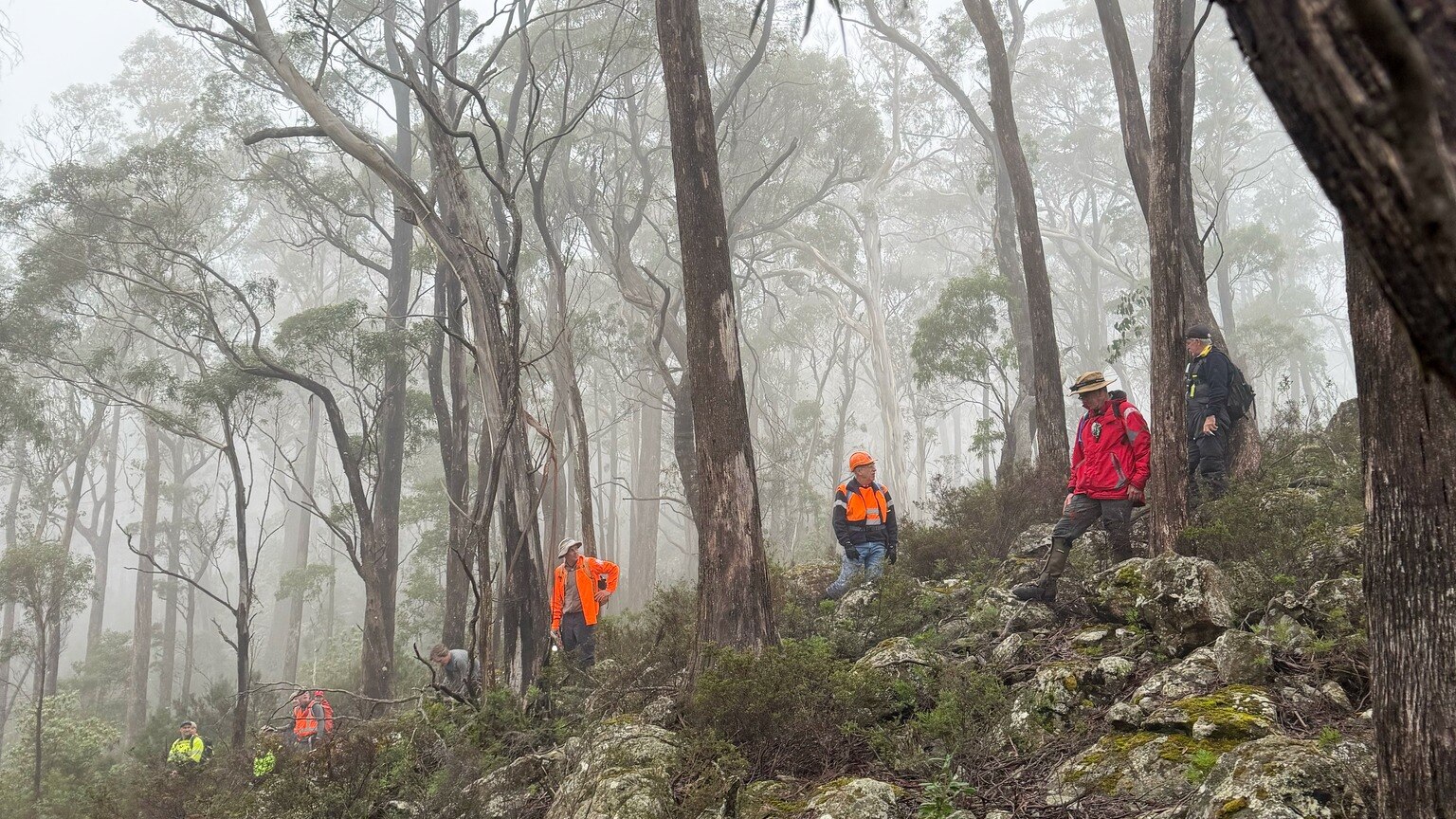Tasmania Police Open to Volunteer Insights on Missing Persons Cases