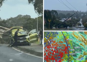 Storm Cripples Power Grid: Thousands Plunged into Darkness