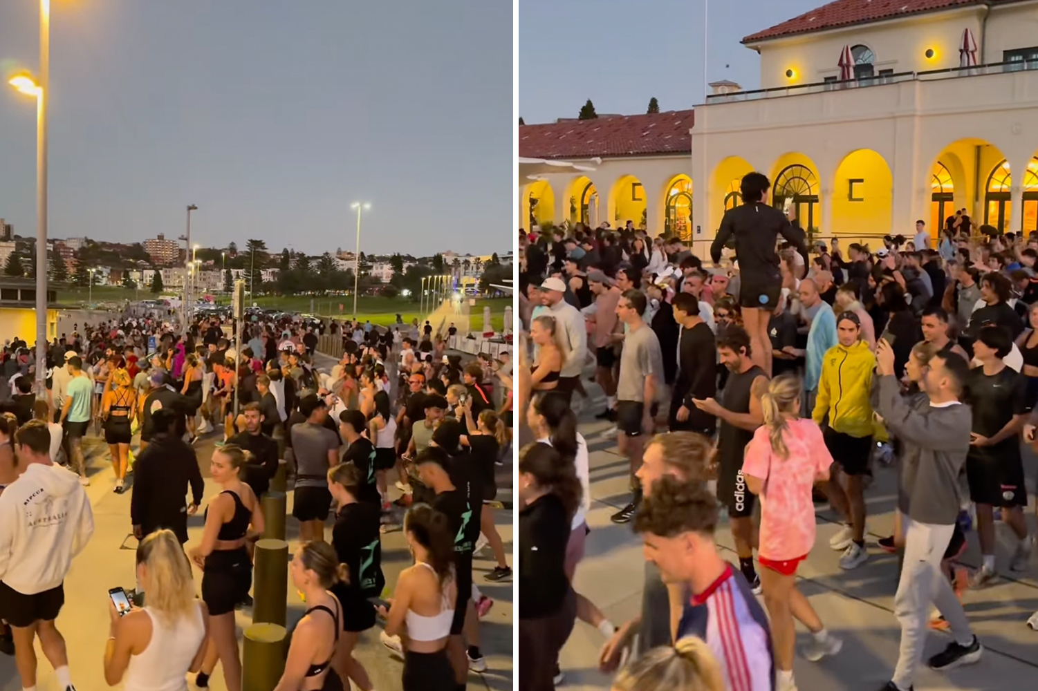 Bondi’s Dawn Rush: Young Aussies Seek a New Way
