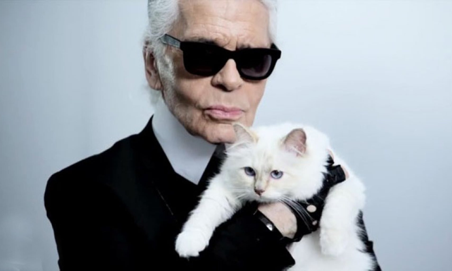 Choupette’s Millions: Where Did Lagerfeld’s $1.5m Inheritance Vanish?