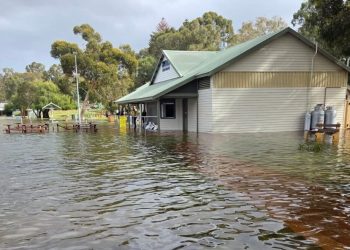 Tree Crushes Car, Driver Hospitalised as WA Braces for More Storms